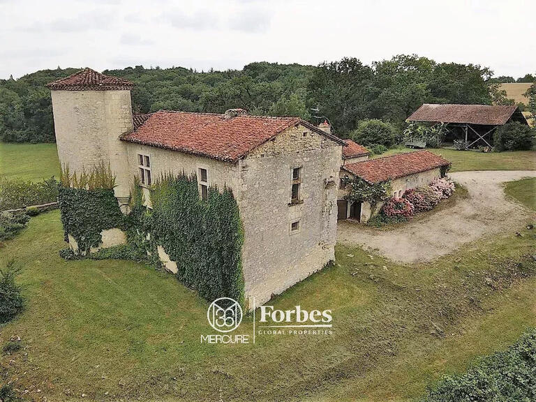 Castle Vic-Fezensac - 3 bedrooms - 340m²