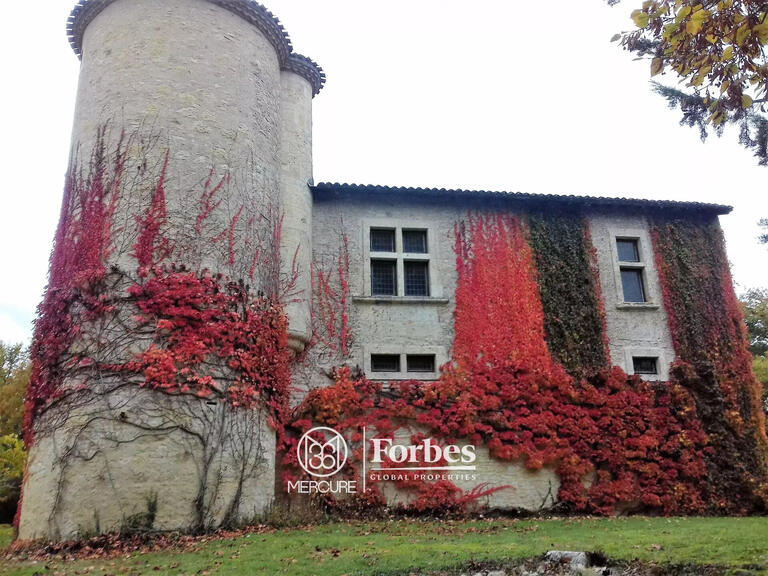 Castle Vic-Fezensac - 3 bedrooms - 340m²