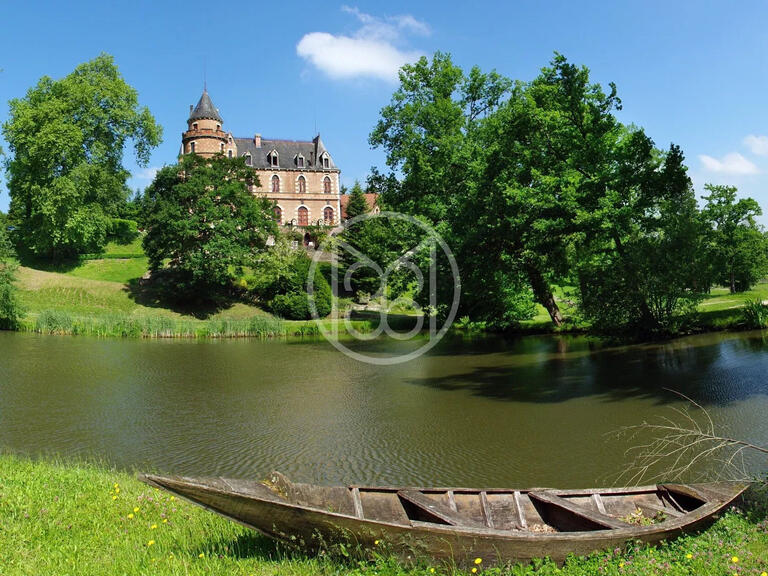 Château Vichy - 23 chambres - 1575m²