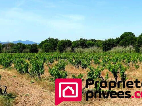 Vente Maison Vidauban - 5 chambres