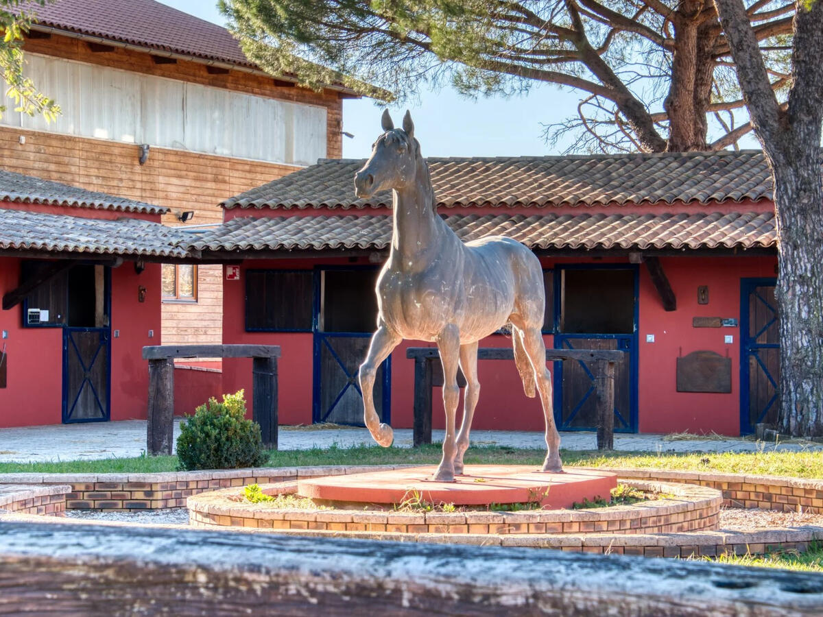 Equestrian property Vidauban