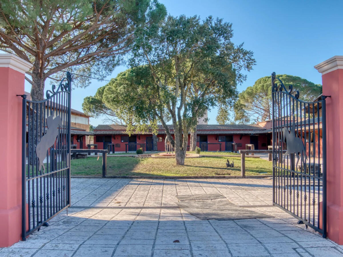 Equestrian property Vidauban