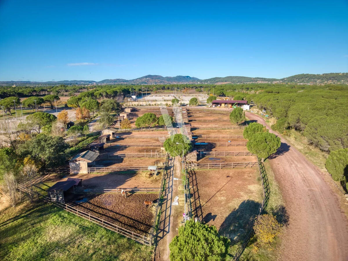 Equestrian property Vidauban