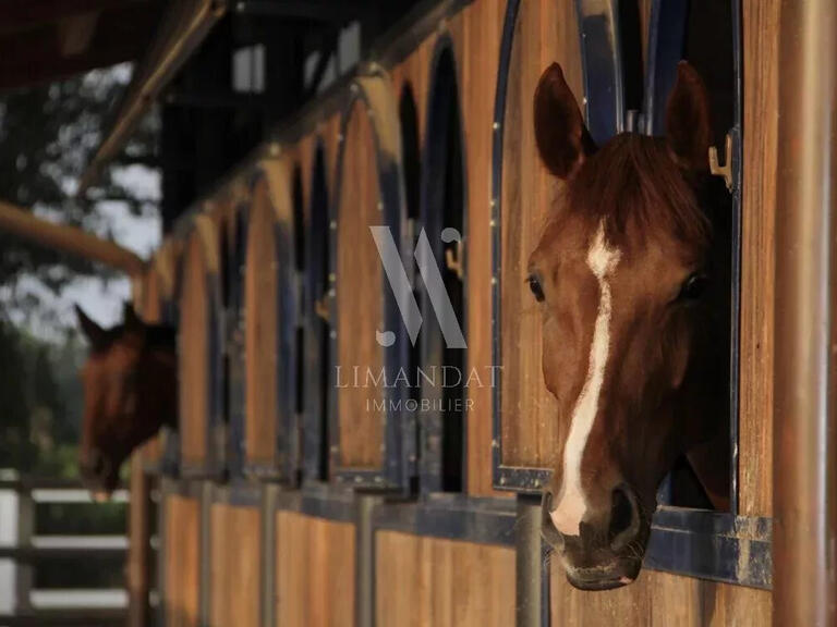 Equestrian property Vidauban - 5 bedrooms - 250m²