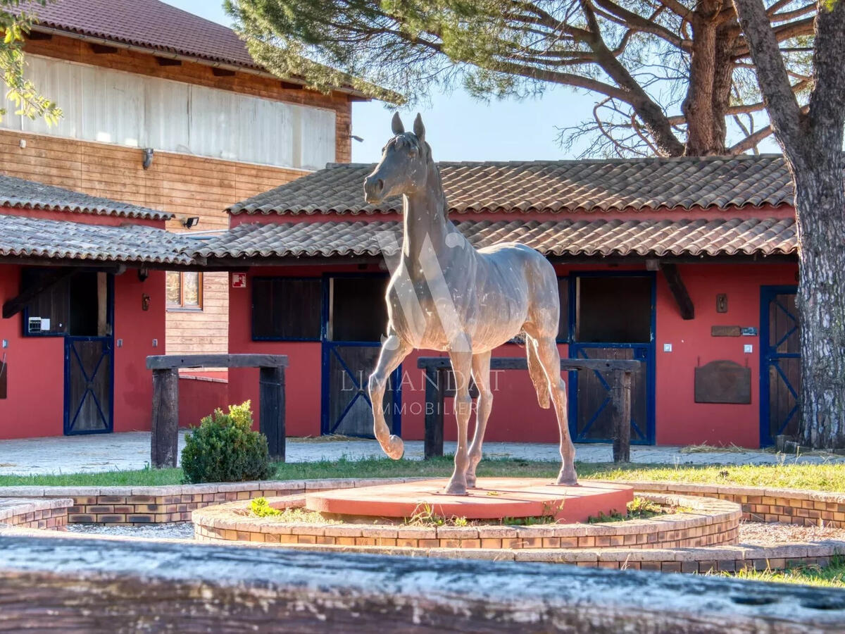 Equestrian property Vidauban