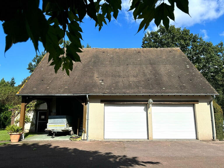 Maison Vienne-en-Val - 6 chambres - 430m²