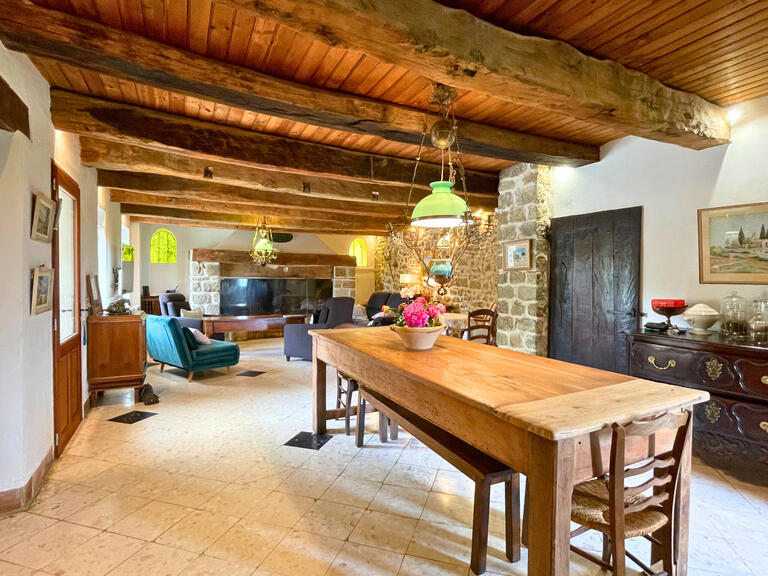 Maison Viens - 6 chambres - 273m²