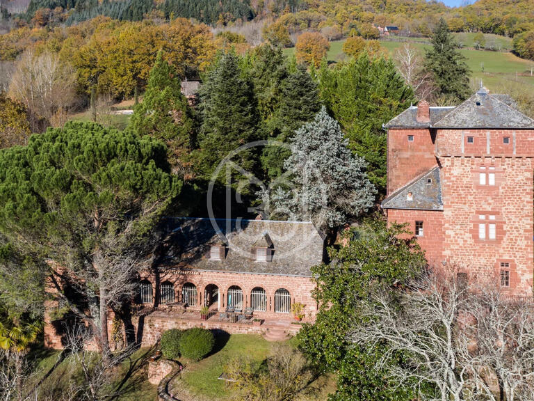 Château Villecomtal - 7 chambres - 500m²