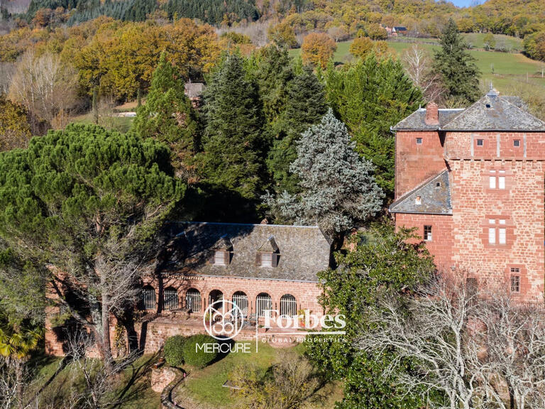 Castle Villecomtal - 7 bedrooms - 500m²