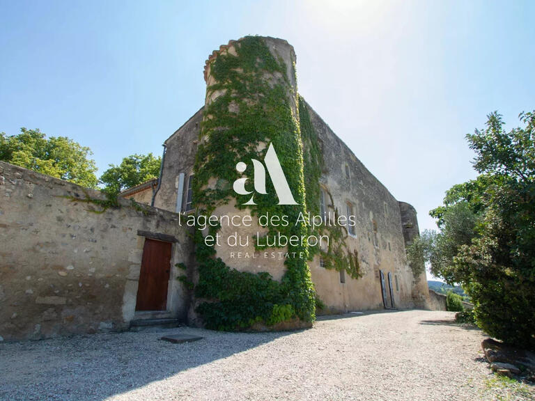 Château Villedieu - 8 chambres - 575m²