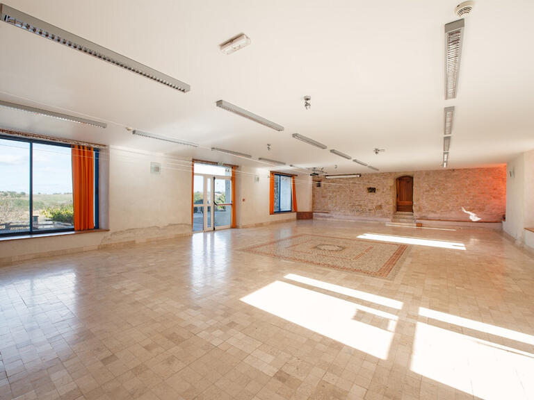 Vente Propriété Villefranche-de-Lauragais - 25 chambres