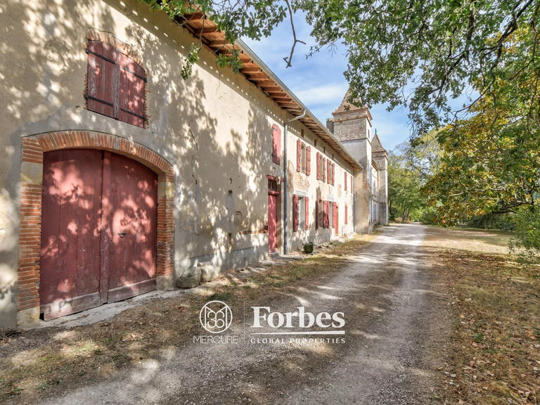 Propriété Villefranche-de-Lauragais - 6 chambres - 600m²