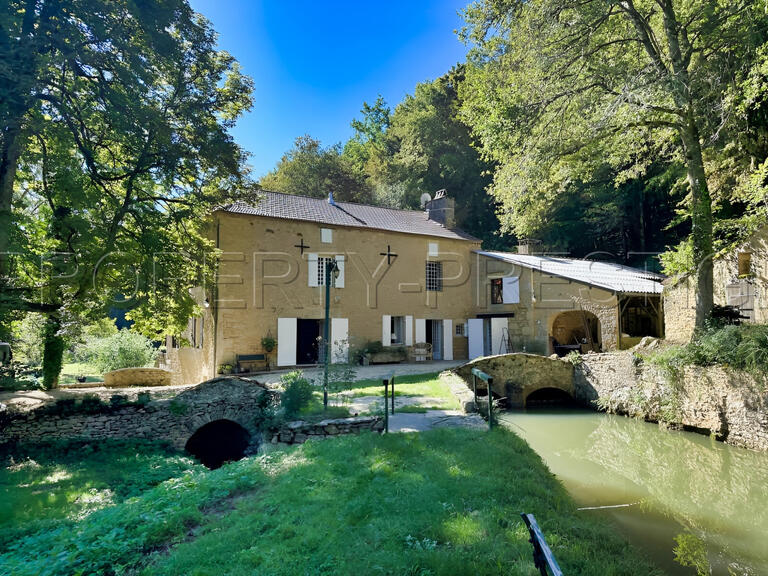 Villa Villefranche-du-Périgord - 4 bedrooms - 250m²