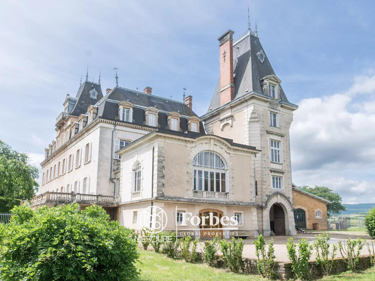 Château Villefranche-sur-Saône - 13 chambres - 1924m²