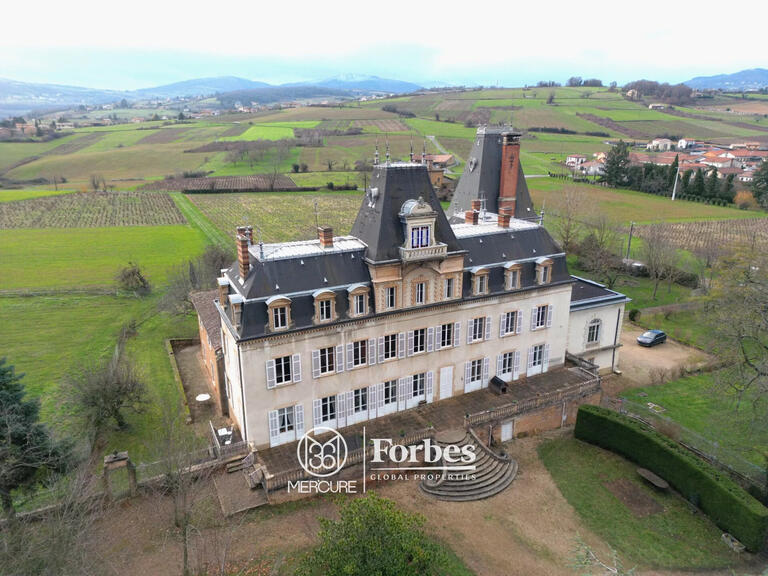 Château Villefranche-sur-Saône - 13 chambres - 1924m²