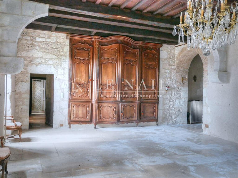 Château Villeneuve-sur-Lot - 5 chambres - 370m²