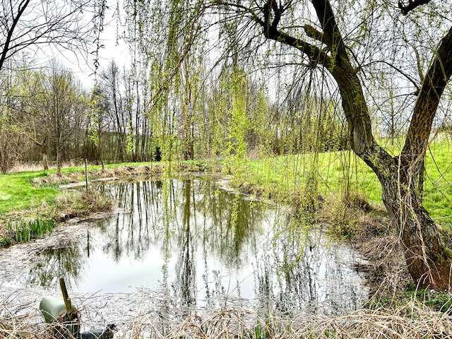 Propriété Vindry-sur-Turdine