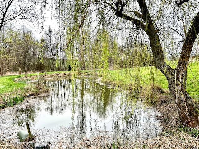 Propriété Vindry-sur-Turdine