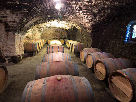 Vente Domaine viticole Visan - 5 chambres