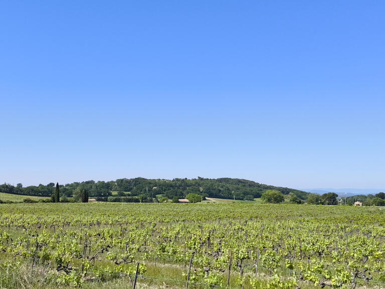 Vineyard Visan - 5 bedrooms - 600m²