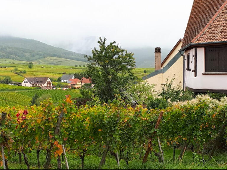 Hôtel particulier Zellenberg - 9 chambres - 370m²